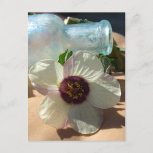 Vintage Flaska och Söt Flower Vykort