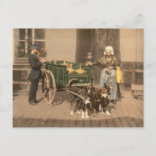 Vintage Flemish Mjölk Maid Vykort
