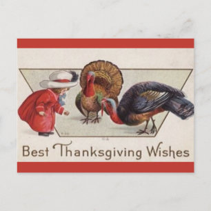 Vintage flicka matar kalkoner Thanksgiving Vykort