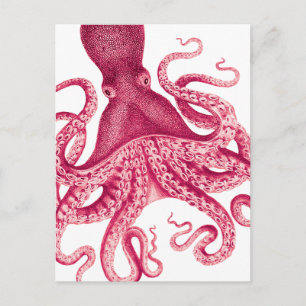 Vintage flickig rosa illustration av bläckfisk vykort