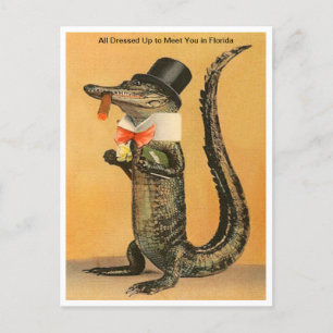Vintage Florida Alligator gjorde upp resande Vykort
