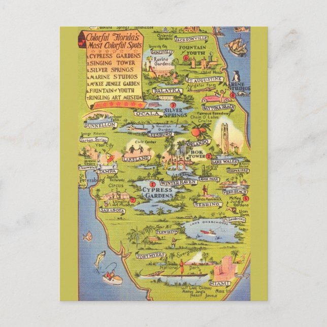 Vintage Florida Attraktioner Karta  Vykort (Framsida)