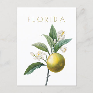 Vintage Florida-blommans resande mitt århundrade e Vykort