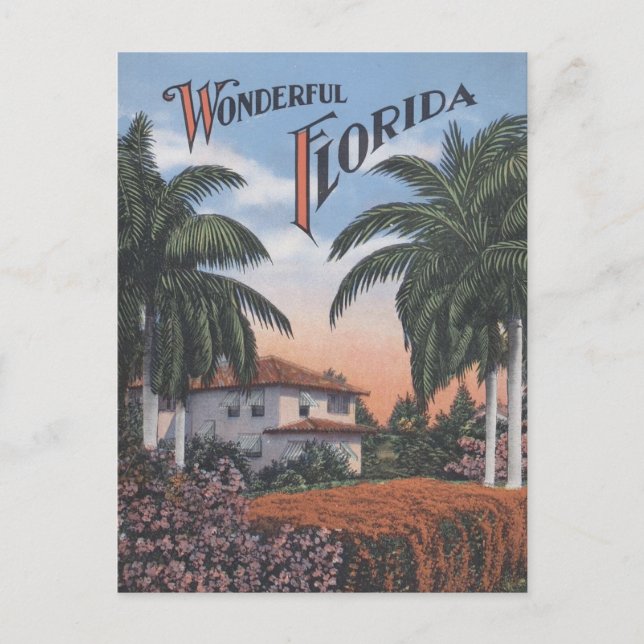 Vintage Florida-broschyr Vykort (Framsida)