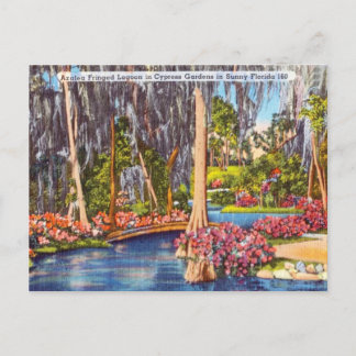 Vintage Florida Cypress Gardens Travel Postcard Vykort