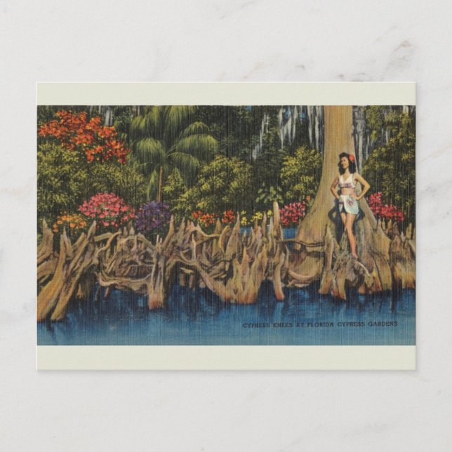 Vintage Florida Cypress Gardens vykort (Framsida)