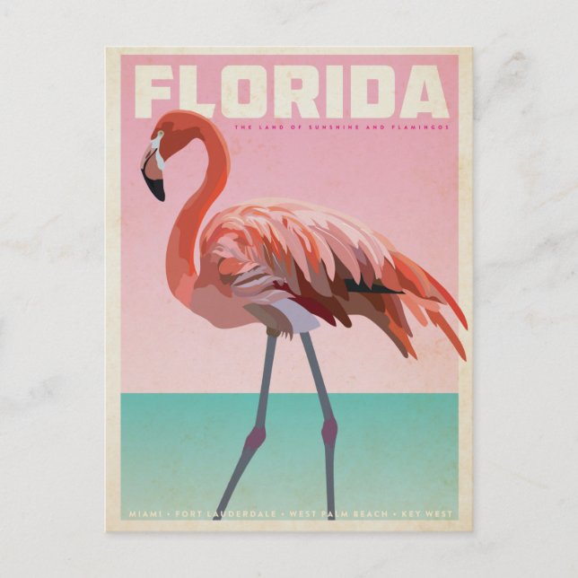 Vintage florida flamigo travel postcard vykort (Framsida)