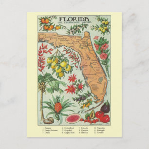 Vintage Florida Kart Postkort Vykort