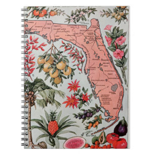 Vintage Florida Karta Anteckningsbok