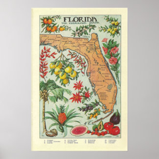 Vintage Florida Karta - Flora Poster