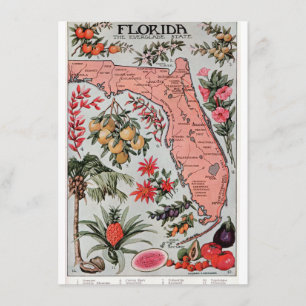 Vintage Florida Karta Inbjudningar