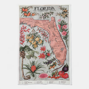 Vintage Florida Karta Kökshandduk