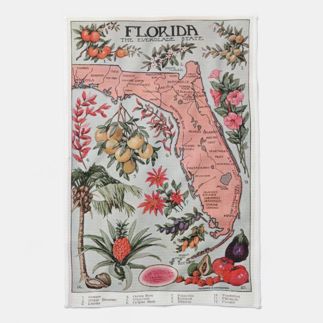 Vintage Florida Karta Kökshandduk (Vertikal)
