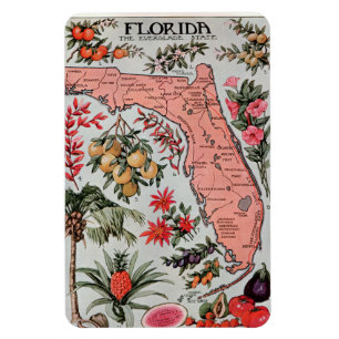 Vintage Florida Karta Magnet