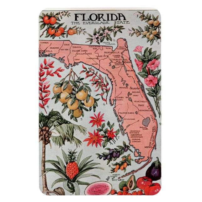Vintage Florida Karta Magnet (Vertikal)