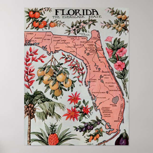 Vintage Florida Karta Poster (Framsidan)