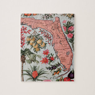 Vintage Florida Karta Pussel