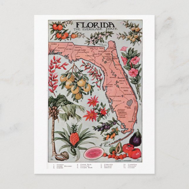 Vintage Florida Karta Vykort (Framsida)