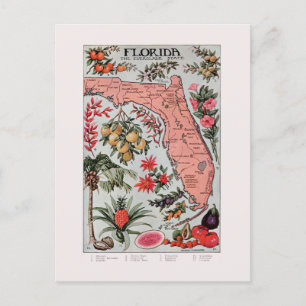 Vintage Florida Karta Vykort
