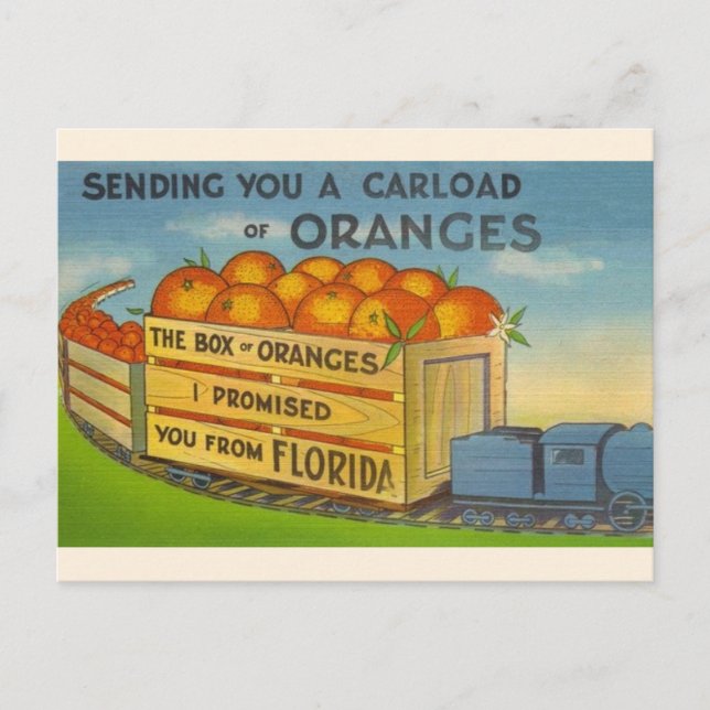 Vintage Florida Oranges vykort (Framsida)