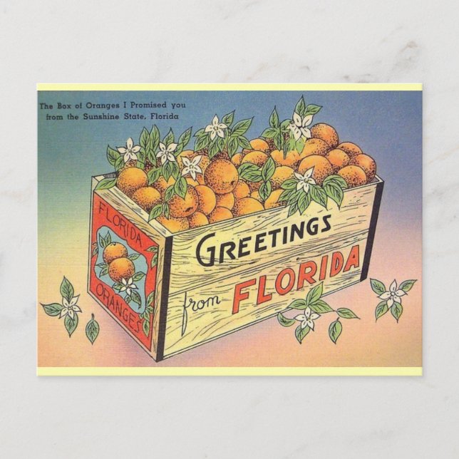 Vintage Florida Oranges vykort (Framsida)