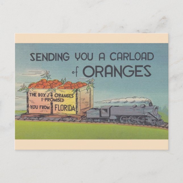 Vintage Florida Oranges vykort (Framsida)