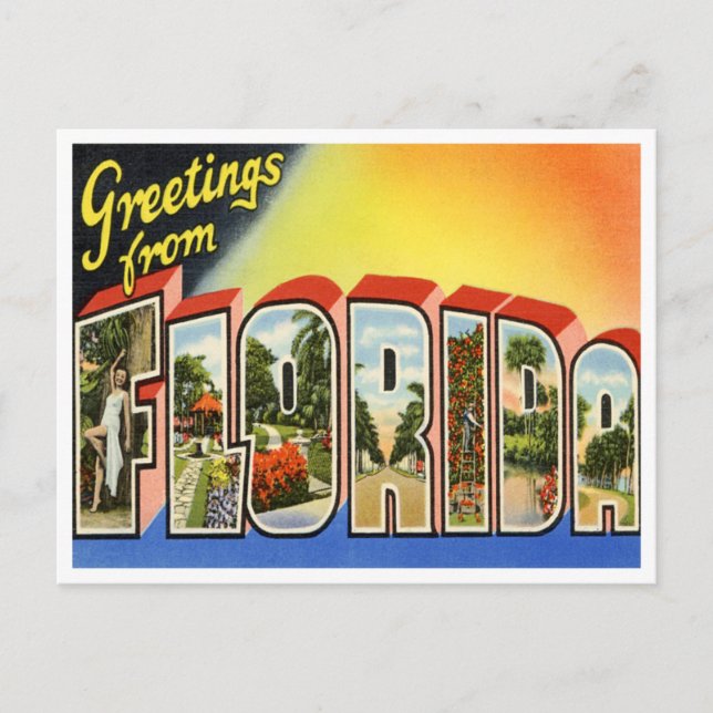 Vintage Florida Postcard Vykort (Framsida)