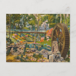Vintage, Florida, Tropical Sjö Gömt Cove Vykort