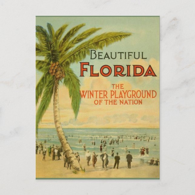Vintage Florida Winter Playground vycard Vykort (Framsida)