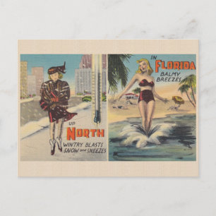 Vintage Florida Winter-vykort Vykort