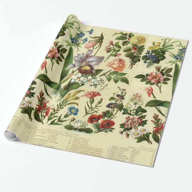 Vintage Flower Botanicals Presentpapper (Utrullad)