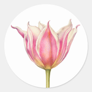 Vintage Flower Tulip Round Stickers Runt Klistermärke
