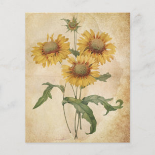 Vintage Flowers Åldras Watercolor Scrapbook Papper