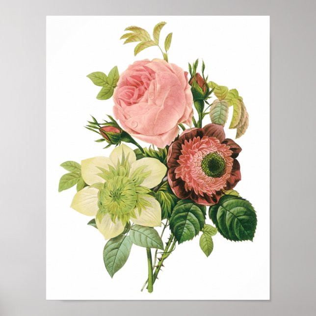 Vintage Flowers, Anemone Ro Clematis av Redoute Poster (Framsidan)