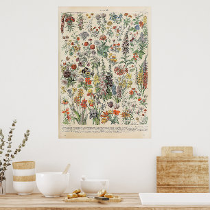 Vintage Flowers av Adolphe Millot Poster