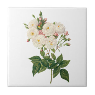 Vintage Flowers Blommigt  Noisette Ro Redoute Kakelplatta