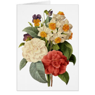 Vintage Flowers, Camellias och Narcissus, Redoute Hälsningskort