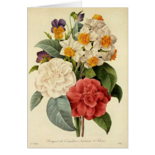 Vintage Flowers, Camellias och Narcissus, Redoute Hälsningskort