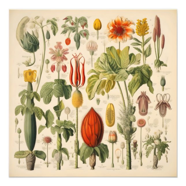 Vintage Flowers Fototryck (Framsidan)