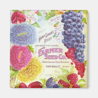Vintage Flowers & Fruktmagnet Magnet