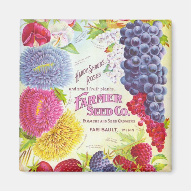 Vintage Flowers & Fruktmagnet Magnet (Framsidan)