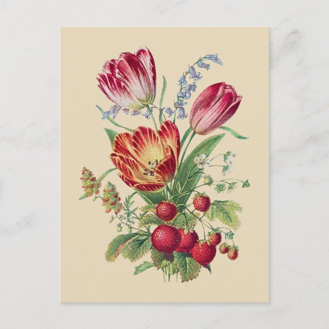 Vintage Flowers I Vykort (Framsida)