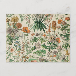 Vintage Flowers Illustration Adolphe Millot Vykort