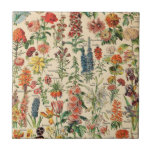 Vintage Flowers Kakelplatta<br><div class="desc">Besök min butik om du vill ha mer intressant design och fler valmöjligheter för färg => zazzle.com/colorfulworld*</div>