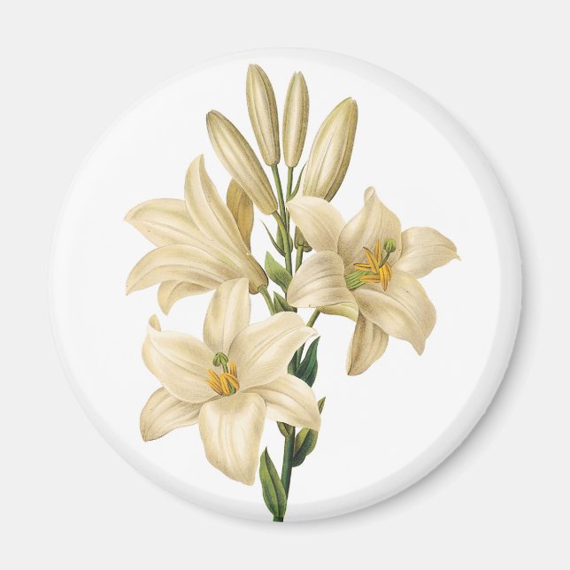 Vintage Flowers magnet 1 (Framsidan)
