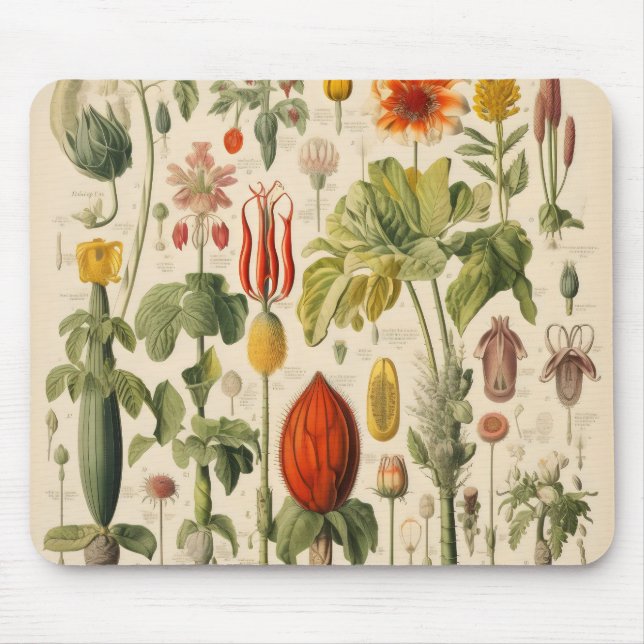 Vintage Flowers Musmatta (Framsidan)