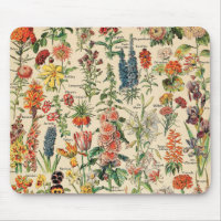 Vintage Flowers