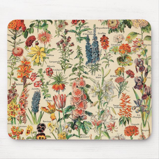 Vintage Flowers Musmatta (Framsidan)