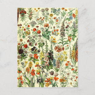 Vintage Flowers Old Illustration Art Vykort
