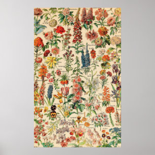 Vintage Flowers Poster
